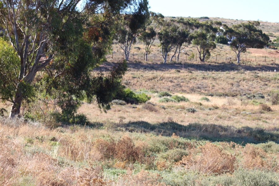 0 Bedroom Property for Sale in St Helena Views Western Cape